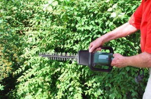 hedge-trimming-camden-town