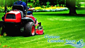 grass-cutting-camden-town