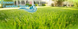 grass-cutting-services-camden-town