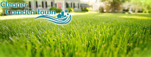 grass-cutting-services-camden-town