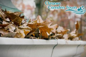 gutter-cleaners-camden-town